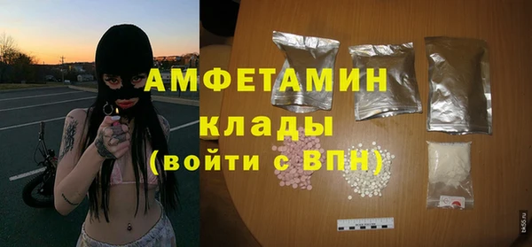 СК Алексин