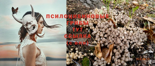 бошки Медвежьегорск