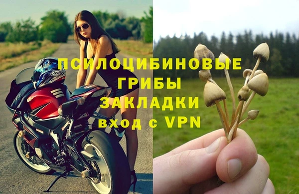 бошки Медвежьегорск