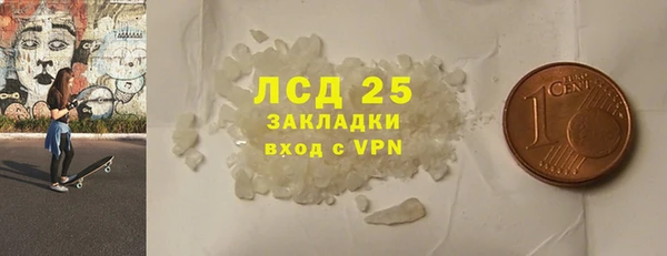 СК Алексин