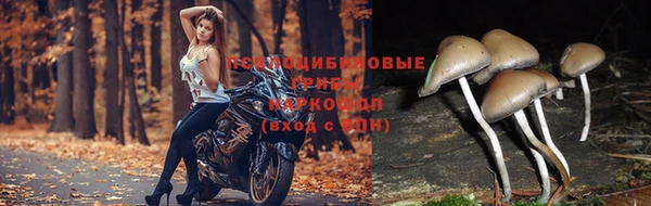молекула духа Михайловка